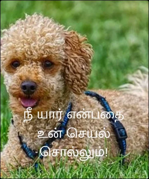நீ யார் என்பதை உன் செயல் சொல்லும்!
