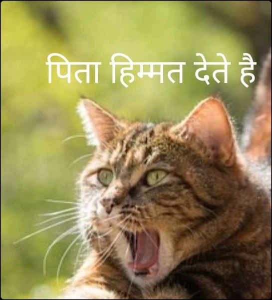 पिता हिम्मत देते है