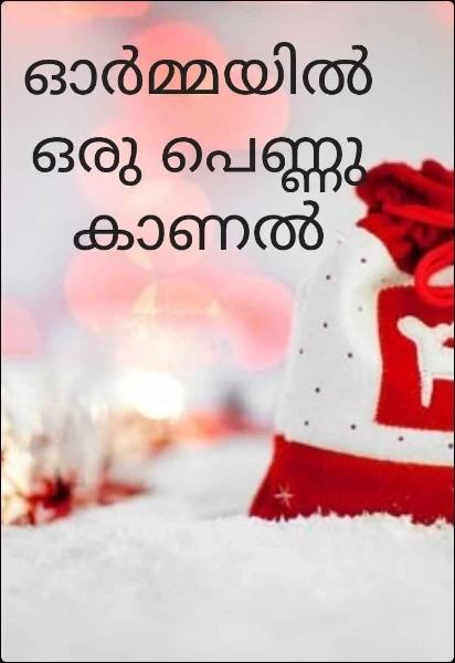 ഓർമ്മയിൽ ഒരു പെണ്ണുകാണൽ