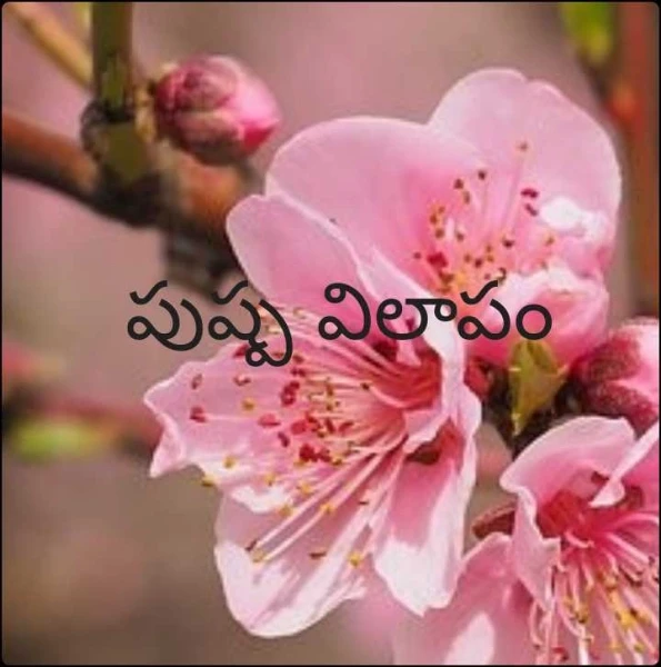 పుష్ప విలాపం