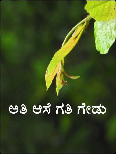 ಅತಿ ಆಸೆ ಗತಿ ಗೇಡು