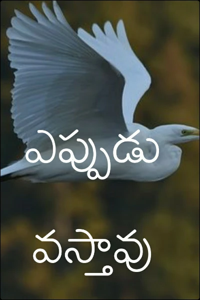 ఎప్పుడు వస్తావు