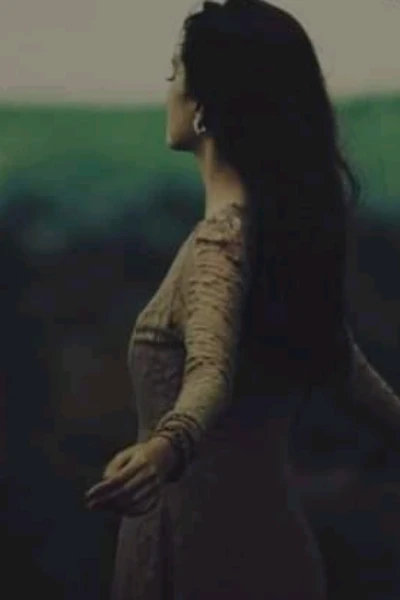 तेरी मोहब्बत