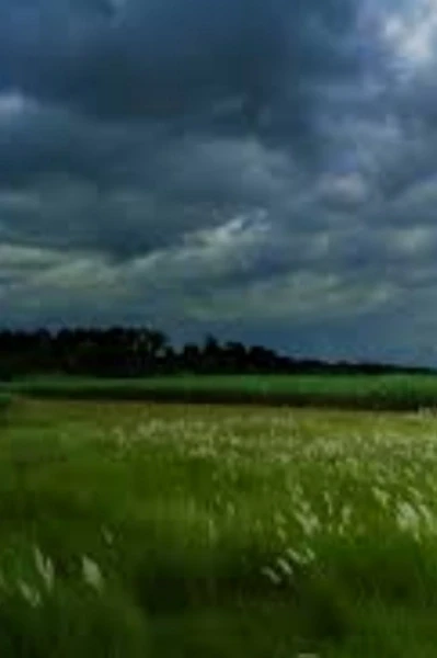 🌫️🌫️🌫️মেঘলা আকাশ 🌫️🌫️🌫️