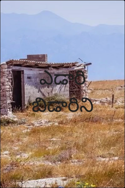 ఎడారి బిడారిని
