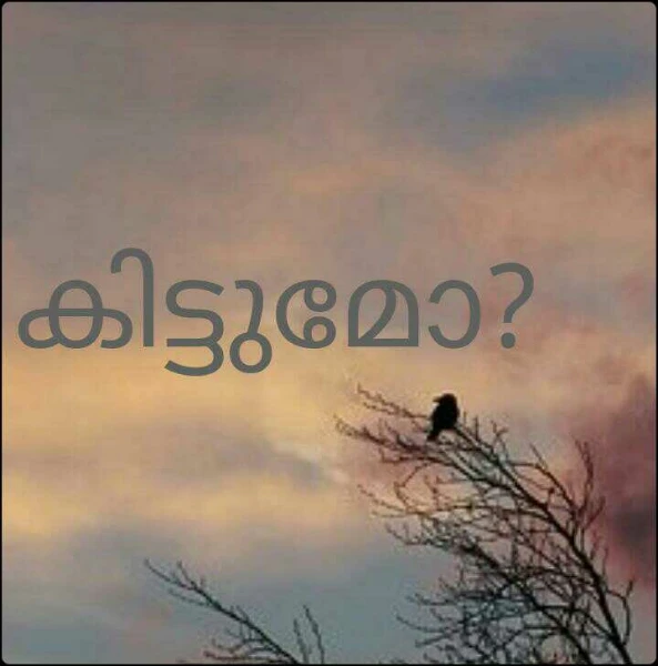 കിട്ടുമോ?