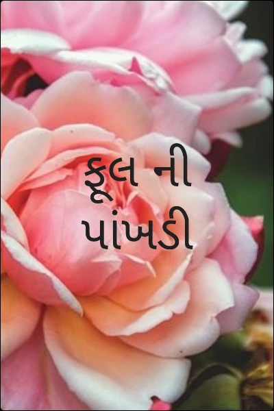 ફૂલ ની પાંખડી