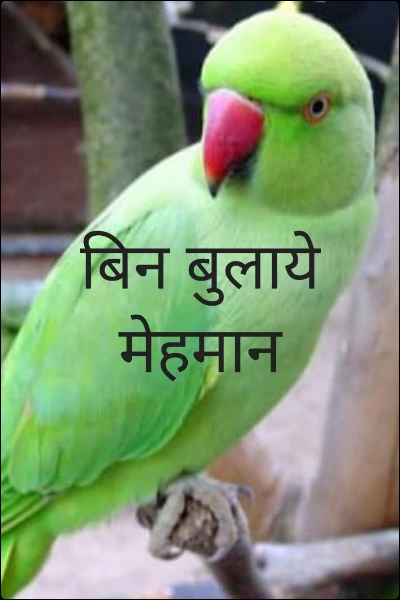 बिन बुलाये मेहमान