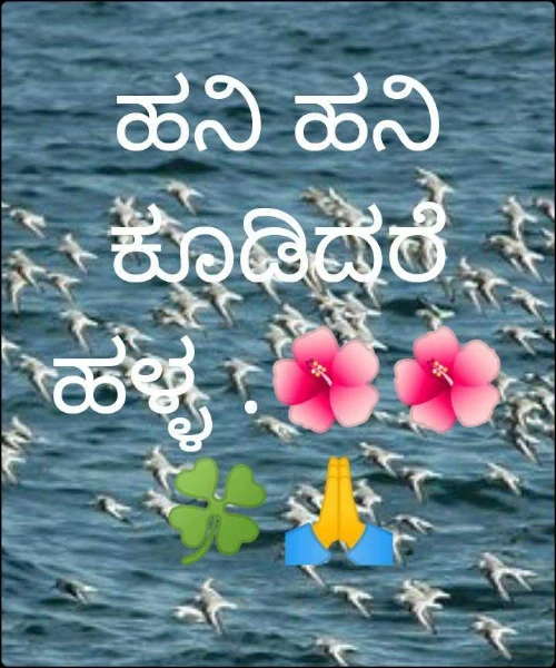ಹನಿ ಹನಿ ಕೂಡಿದರೆ ಹಳ್ಳ .🌺🌺🍀🙏