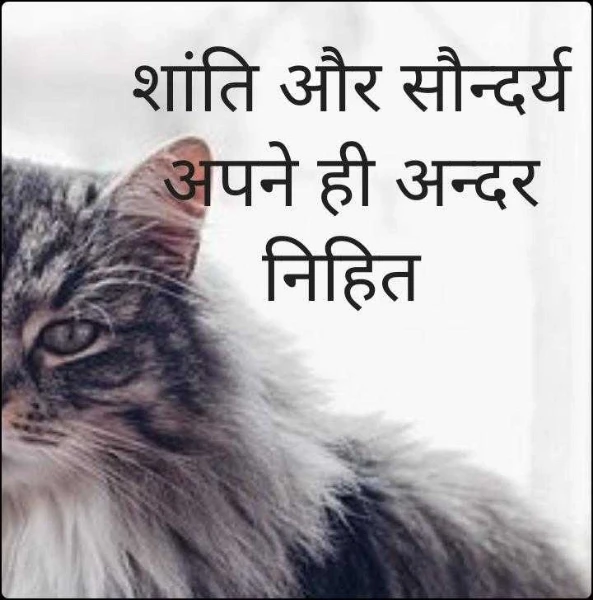 शांति और सौन्दर्य अपने ही अन्दर निहित