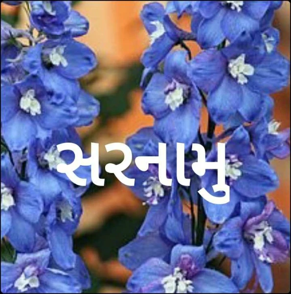 સરનામુ