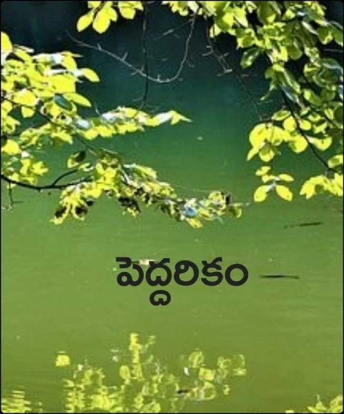 పెద్దరికం