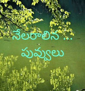 నేలరాలిన ...పువ్వులు