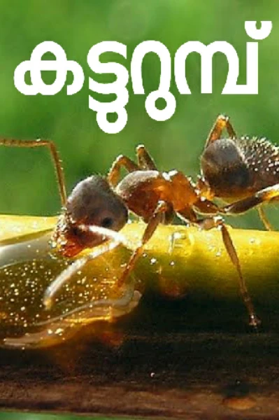 കട്ടുറുമ്പ്