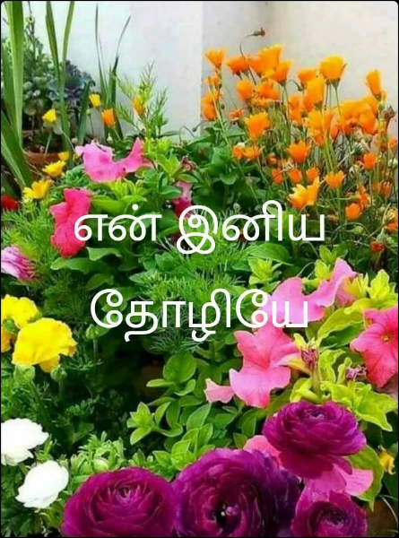 என் இனிய தோழியே