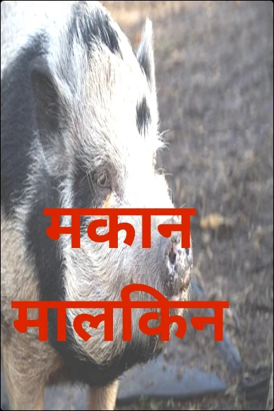मकान मालकिन