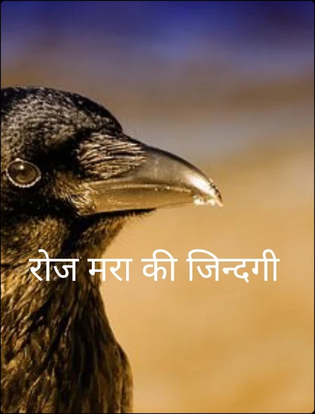 रोज मरा की जिन्दगी
