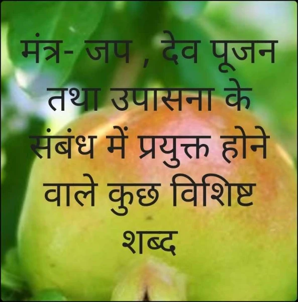 मंत्र- जप , देव पूजन तथा उपासना के संबंध में प्रयुक्त होने वाले कुछ विशिष्ट शब्द
