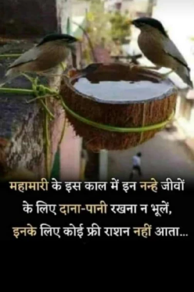 मैं धीरे धीरे सीख रही हूं