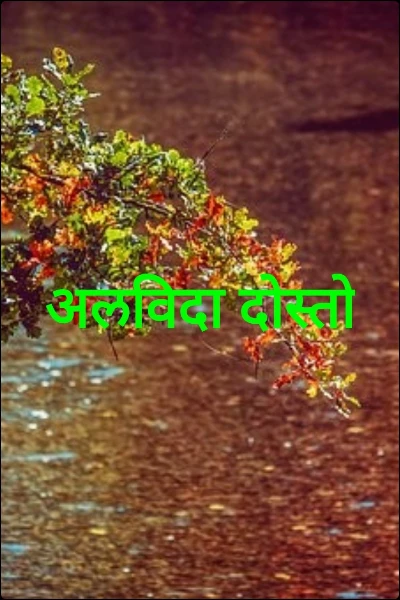 अलविदा दोस्तो