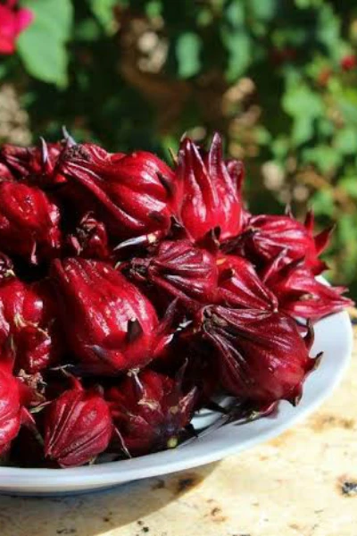 कुदरुम : बहुपयोगी पौधा