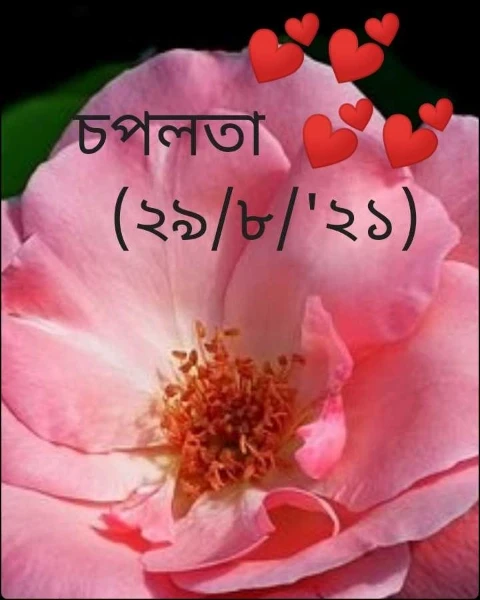 💕💕 চপলতা  💕💕(২৯/৮/'২১)