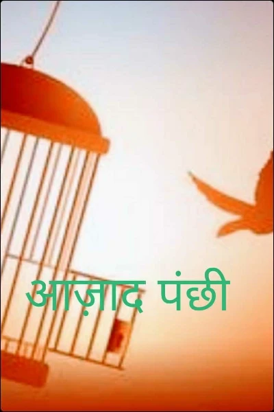 आज़ाद पंछी