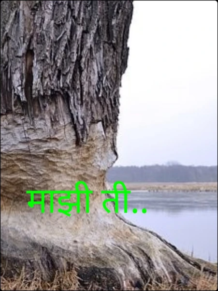 माझी ती..
