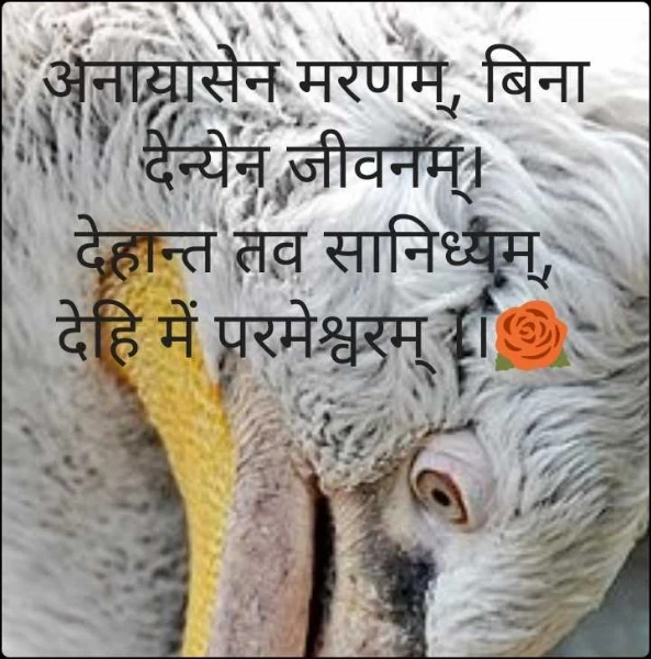 अनायासेन मरणम्, बिना देन्येन जीवनम्।
देहान्त तव सानिध्यम्, देहि में परमेश्वरम् ।।🌹