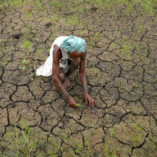 बंजर जमीन और किसान