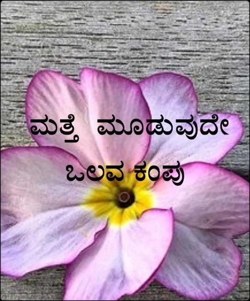 ಮತ್ತೆ  ಮೂಡುವುದೇ ಒಲವ ಕಂಪು