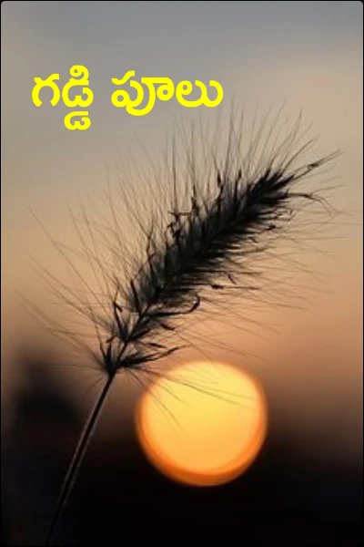 గడ్డి పూలు