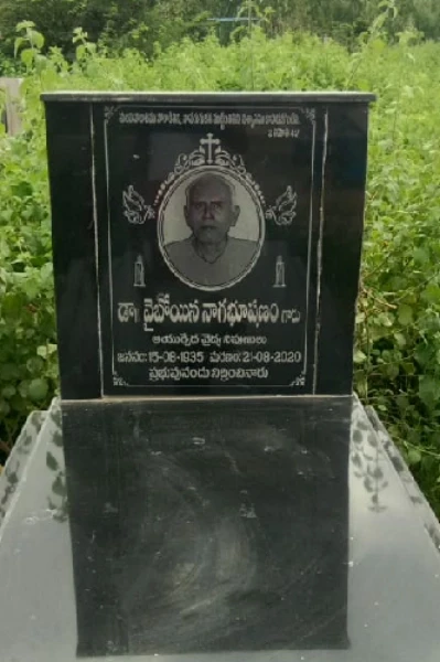 ఆయుర్వేద వైద్య నిపుణులు