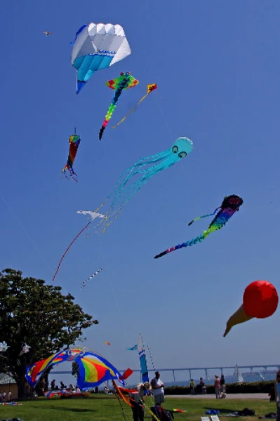 "ভোকাট্টা "