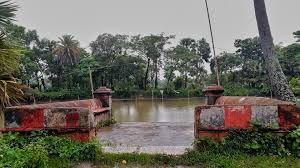 মৌটুসী ও তার বাবার মৃত্যু কথা পর্ব : ৪