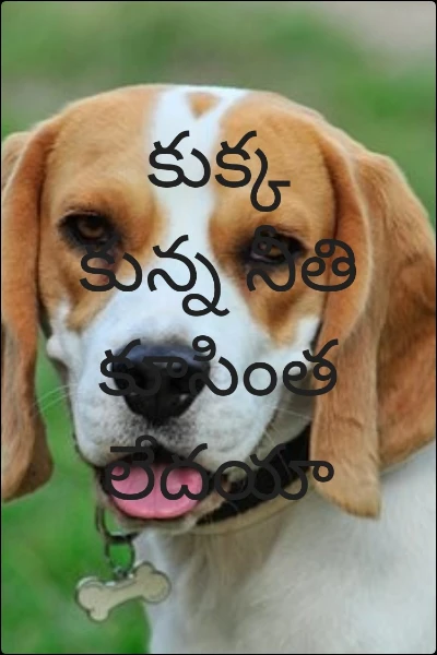 కుక్క కున్న నీతి కూసింత లేదయా