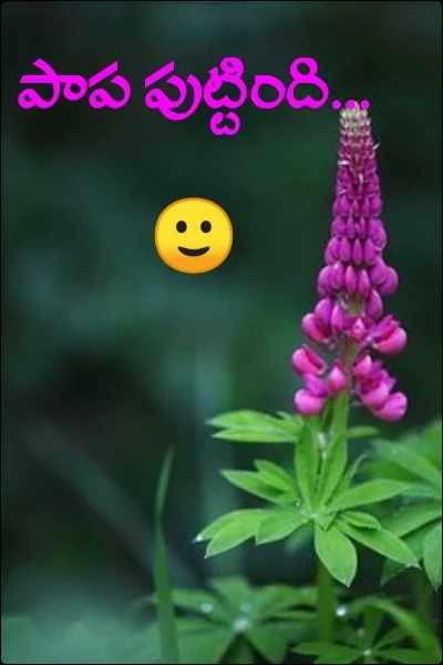 పాప పుట్టింది...🙂