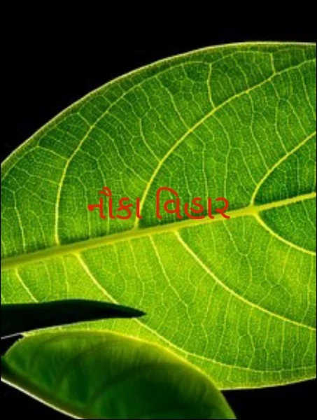 નૌકા વિહાર