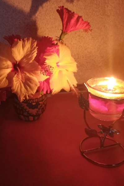 रहस्यमयी साया