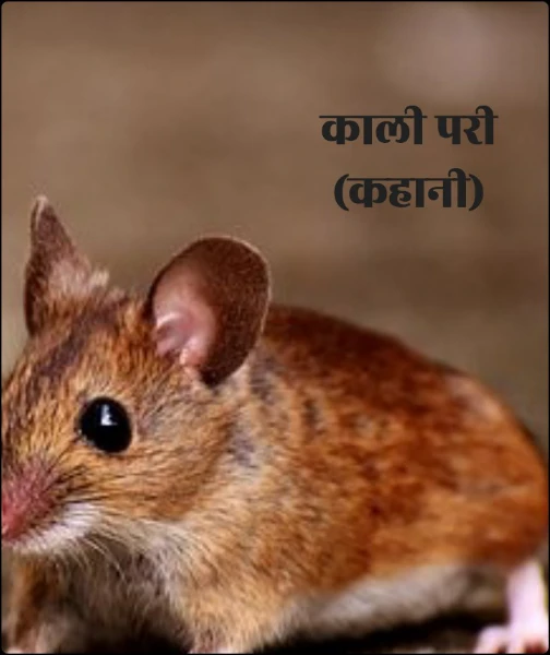 काली परी
(कहानी)