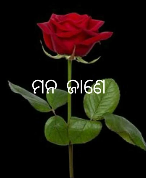 ମନ ଜାଣେ