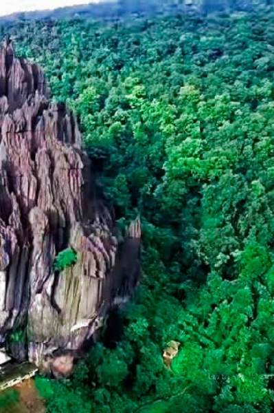 ಹಸಿರು