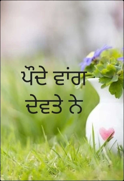 ਪੌਦੇ ਵਾਂਗ ਦੇਵਤੇ ਨੇ
