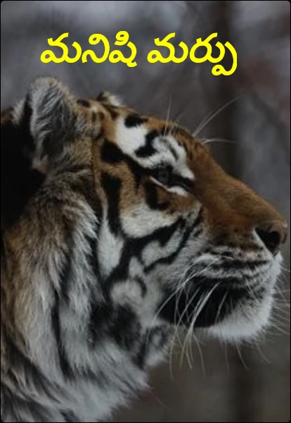మనిషి మర్పు
