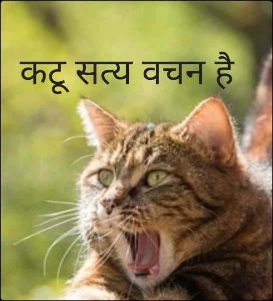 कटू सत्य वचन है