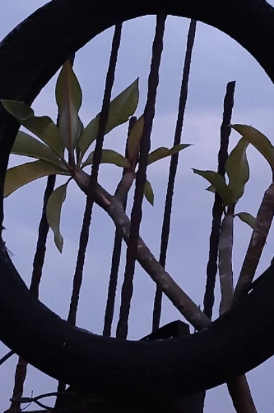 लघुकथा - सोच के गुलाम