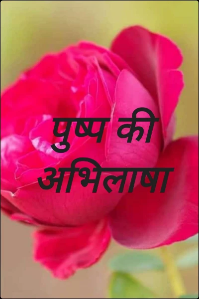 पुष्प की अभिलाषा