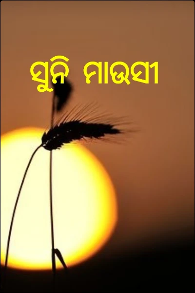 ସୁନି ମାଉସୀ