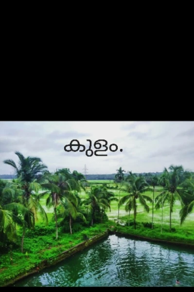 കുളം.