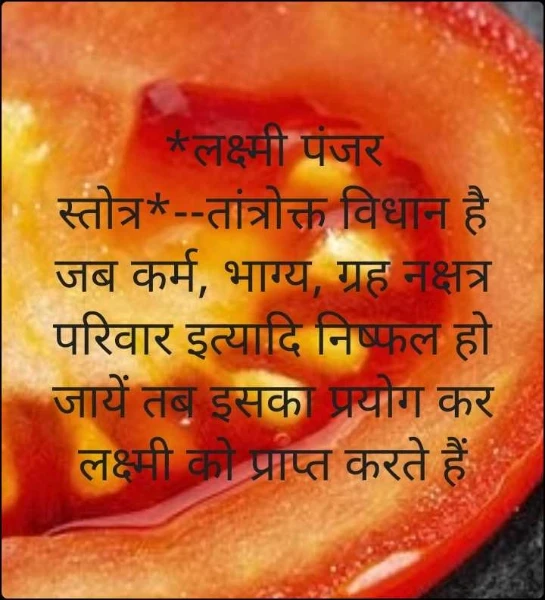 *लक्ष्मी पंजर स्तोत्र*--तांत्रोक्त विधान है जब कर्म, भाग्य, ग्रह नक्षत्र परिवार इत्यादि निष्फल हो जायें तब इसका प्रयोग कर लक्ष्मी को प्राप्त करते हैं